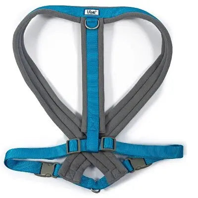 Ancol Viva Padded Harness Blue - Various Sizes - Chestnut Mill