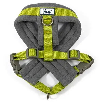 Ancol Viva Padded Harness Lime - Various Sizes - Chestnut Mill