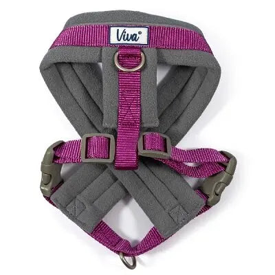 Ancol Viva Padded Harness Purple - Various Sizes - Chestnut Mill