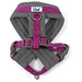 Ancol Viva Padded Harness Purple - Various Sizes - Chestnut Mill