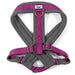 Ancol Viva Padded Harness Purple - Various Sizes - Chestnut Mill