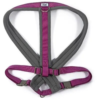 Ancol Viva Padded Harness Purple - Various Sizes - Chestnut Mill