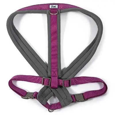 Ancol Viva Padded Harness Purple - Various Sizes - Chestnut Mill