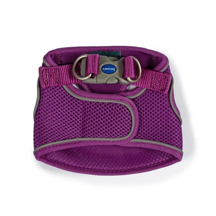 Ancol Viva Step In Harness Purple - Various Sizes - Chestnut Mill