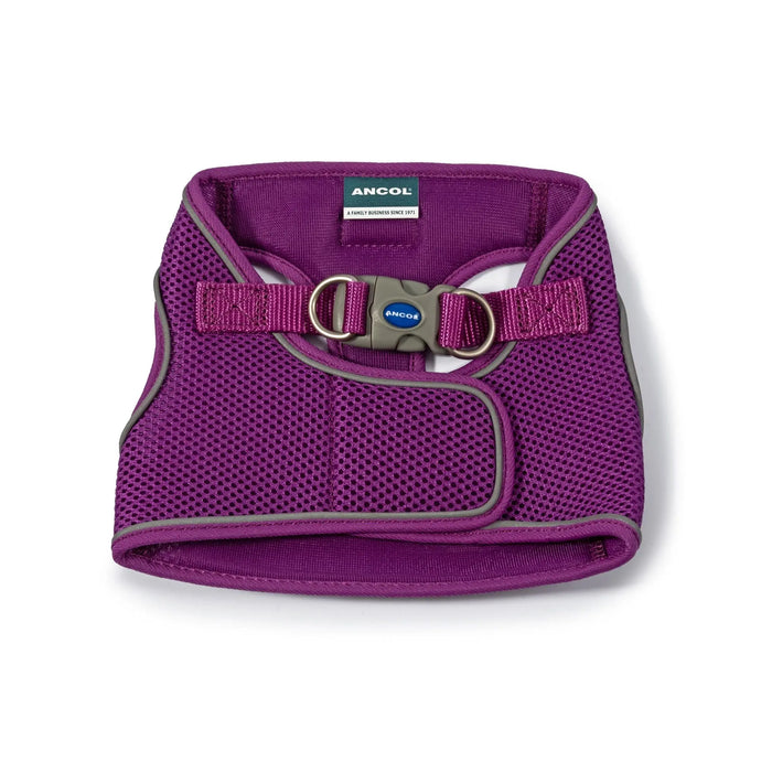 Ancol Viva Step In Harness Purple - Various Sizes - Chestnut Mill