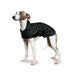 Ancol Whippet Coat Black - 43 cm - Chestnut Mill