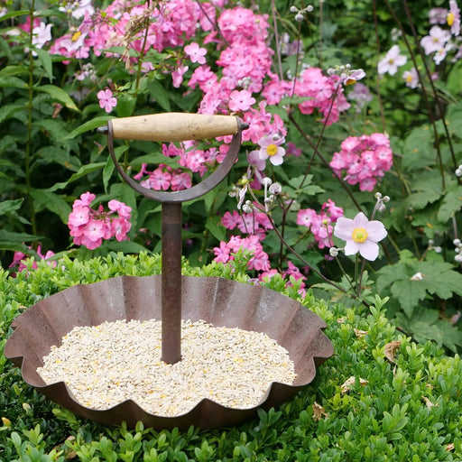 Boxwell Ground Bird Feeder & Drinker - Chestnut Mill