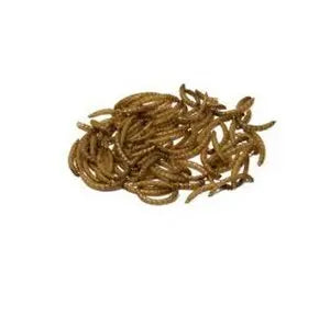 Bucktons Mealworms - 12.55kg - Chestnut Mill