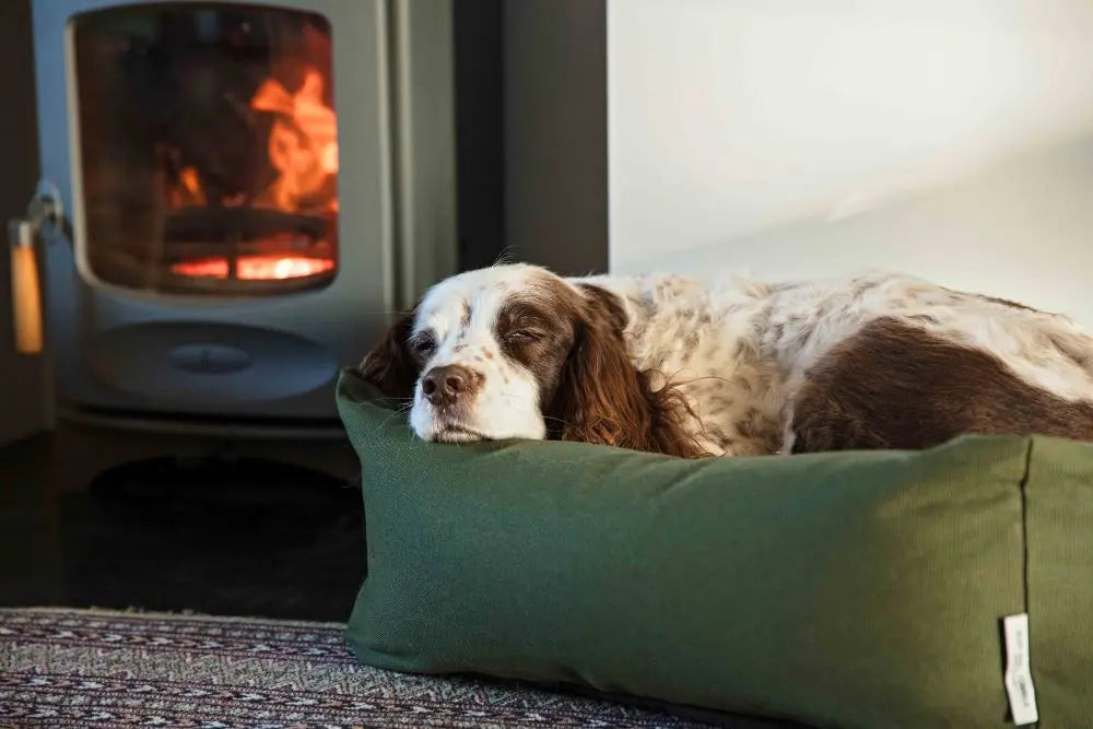 Burnham Bolster Dog Bed - Olive - Various Sizes - Chestnut Mill