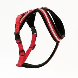 Comfey Harness Red - Various Sizes - Chestnut Mill