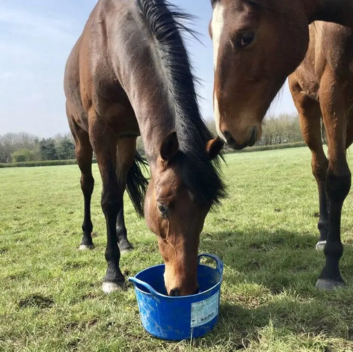 DK Equine Flexi Tub with Herbs - 12.5kg - Chestnut Mill