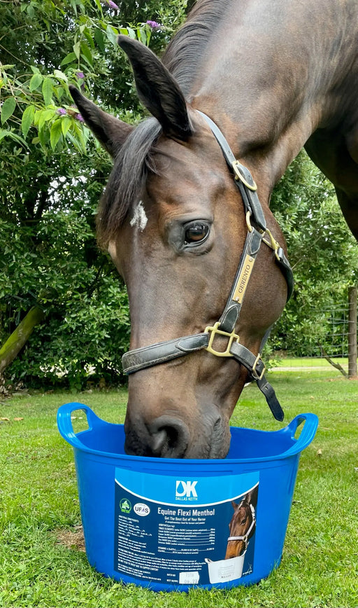 DK Equine Flexi Tub with Menthol - 12.5kg - Chestnut Mill