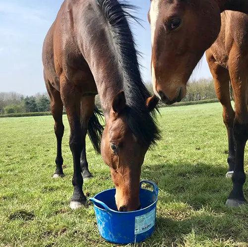 Dallas Keith Equine Flexi Trug Essential Mineral Lick 12.5kg - Chestnut Mill