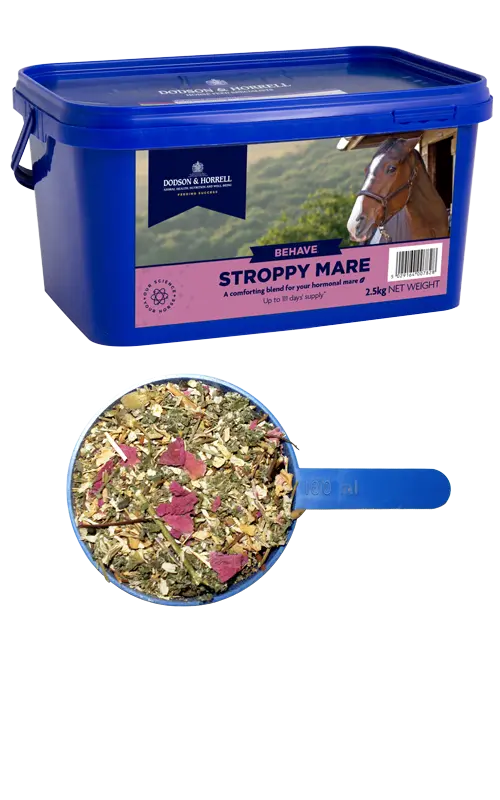 Dodson & Horrell Stroppy Mare - Various Sizes Dodson & Horrell