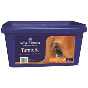 Dodson & Horrell Turmeric - 2 kg - Chestnut Mill