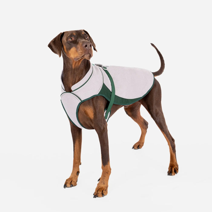 Dog Cooling Coat - Ruff & Tumble - SUMMER SPECIAL OFFER - UPTO 30% OFF - Chestnut Mill