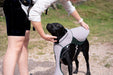 Dog Cooling Coat - Ruff & Tumble - SUMMER SPECIAL OFFER - UPTO 30% OFF - Chestnut Mill