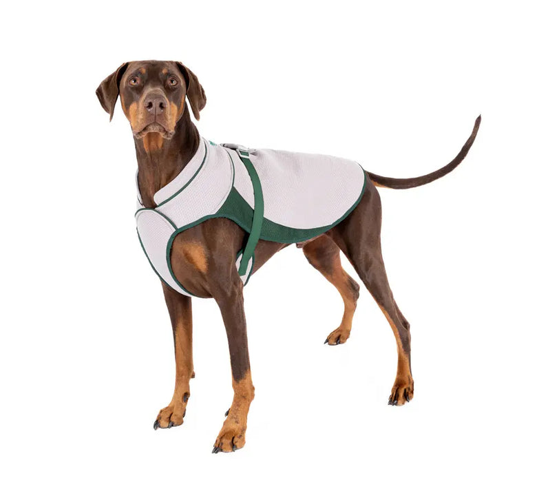 Dog Cooling Coat - Ruff & Tumble - SUMMER SPECIAL OFFER - UPTO 30% OFF - Chestnut Mill