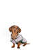 Dog Cooling Coat - Ruff & Tumble - SUMMER SPECIAL OFFER - UPTO 30% OFF - Chestnut Mill