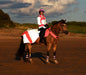 Equisafety Mercury Exercise Sheet - Pink Equisafety