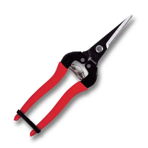 FRUIT PICKING SHEARS -  LONG BLADE -  NEEDLE NOSE -  190mm -  RED GRIP - Chestnut Mill