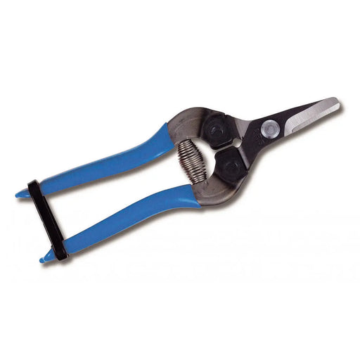 FRUIT PICKING SHEARS - SHORT ROUND CURVED BLADES - 160mm - BLUE GRIP - Chestnut Mill