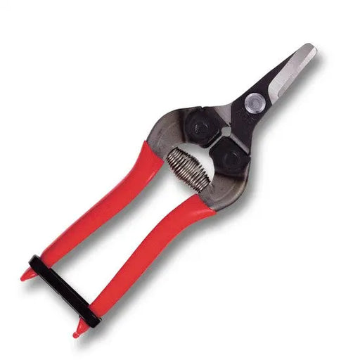 FRUIT PICKING SHEARS -  SHORT ROUND CURVED BLADES - 160mm -  RED GRIP - Chestnut Mill