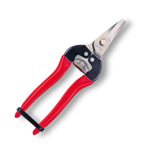 FRUIT PICKING SHEARS -  SHORT ROUND CURVED STAINLESS BLADES - 170mm -  RED GRIP - Chestnut Mill