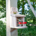 Fluffy Tail Café Squirrel Feeder - Chestnut Mill