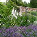 GOTHIC GARDEN ARCH - UMBER GREY Ascalon