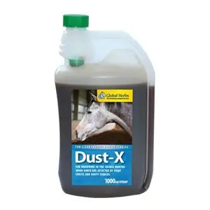 Global Herbs Dust-X Syrup - 1 L - Chestnut Mill