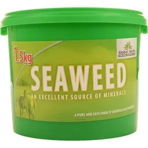 Global Herbs - Seaweed - 1.5 kg - Chestnut Mill