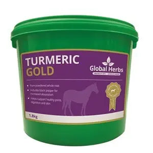 Global Herbs - Turmeric Gold - 1.8 kg - Chestnut Mill