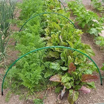 Green PVC Garden Hoops - 1.8m Long - Hoops Only - Chestnut Mill