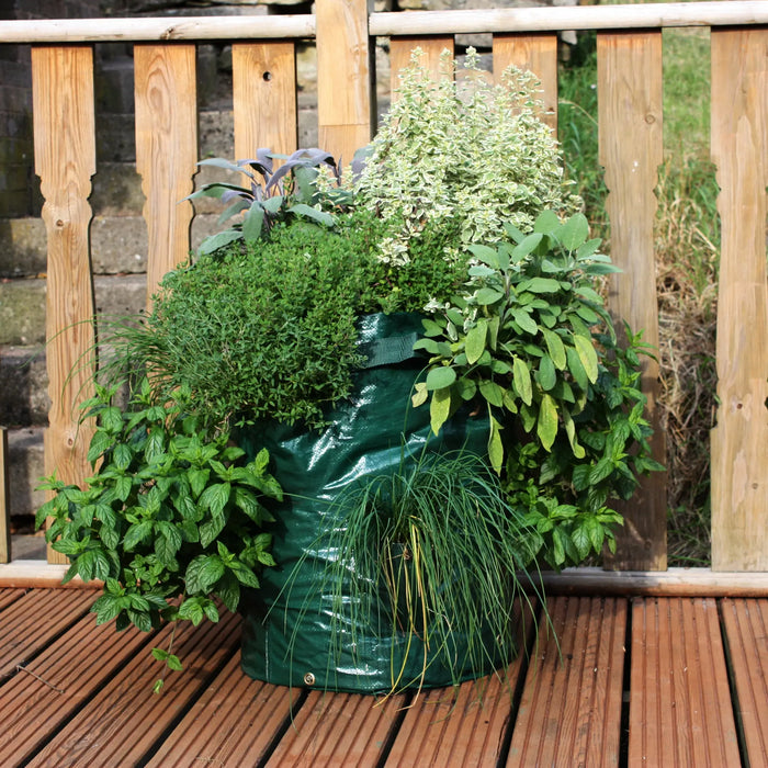 Herb Planter - Chestnut Mill