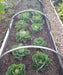 High Top Hoop - Small Tunnel & Netting Kit - 66cm Tall x 80cm Wide - Various Lengths and Netting - Chestnut Mill