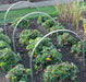 High Top Hoop - Small Tunnel & Netting Kit - 66cm Tall x 80cm Wide - Various Lengths and Netting - Chestnut Mill