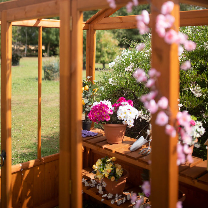 Holkham Greenhouse - 4'x6' - Chestnut Mill