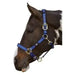 Horse Head Collar - Hy Deluxe Padded Head Collar - Navy - Various Sizes - Chestnut Mill