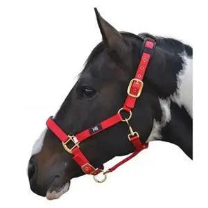 Horse Head Collar - Hy Deluxe Padded Head Collar - Red - Various Sizes - Chestnut Mill