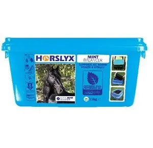 Horslyx Mint Lick - 15 kg - AUGUST SPECIAL OFFER - 6% OFF - Chestnut Mill