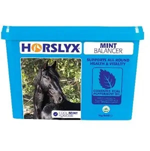 Horslyx Mint Lick Refill - 5 kg - AUGUST SPECIAL OFFER - 6% OFF - Chestnut Mill