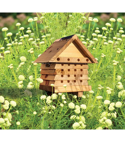 Interactive Solitary Bee Hive Flip Top - Chestnut Mill