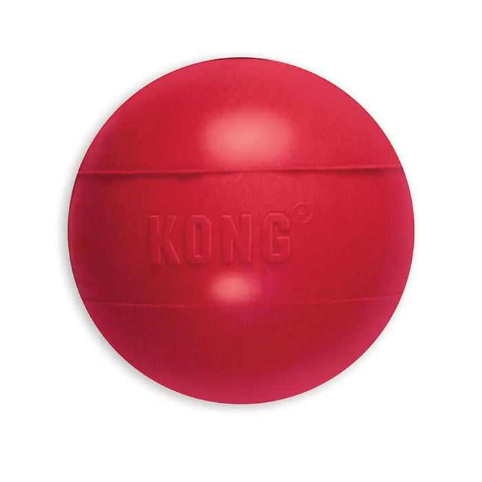 Kong Ball - Small - Chestnut Mill