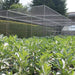 Large Cage Height 1.9m - No Netting - Various Sizes - Chestnut Mill