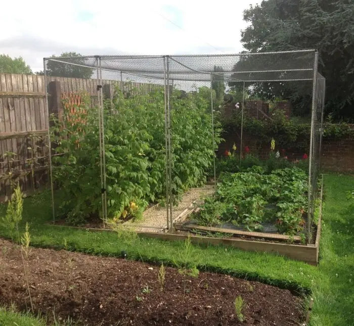 Large Vegetable Cage Height 1.9m - Black Soft Butterfly Netting - Various Sizes - Chestnut Mill