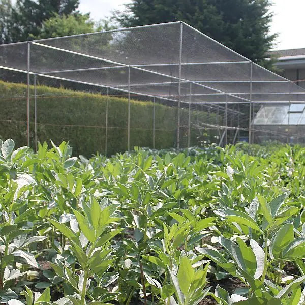 Large Vegetable Cage Height 1.9m - Black Soft Butterfly Netting - Various Sizes - Chestnut Mill