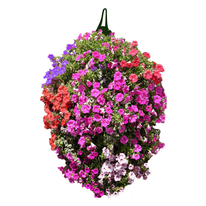 Long Hanging Planters 2pk - Chestnut Mill