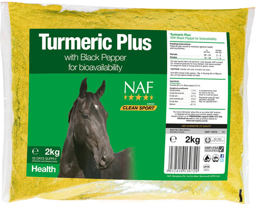 NAF Turmeric Plus 2kg - Chestnut Mill