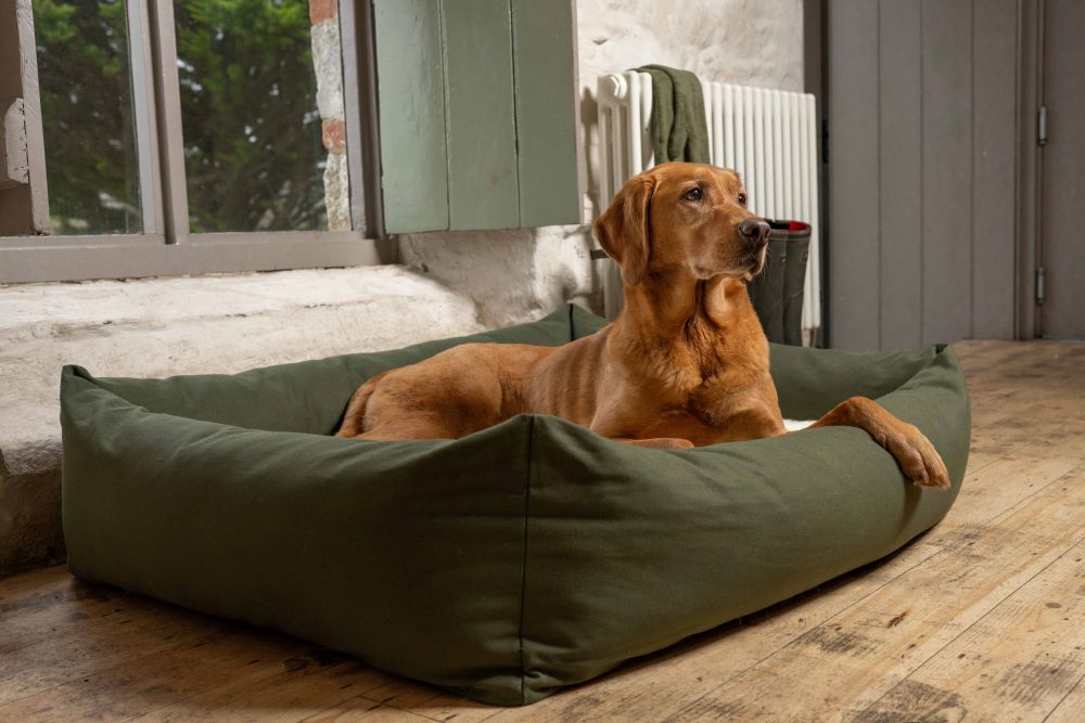 Burnham Bolster Dog Bed - Olive - Various Sizes